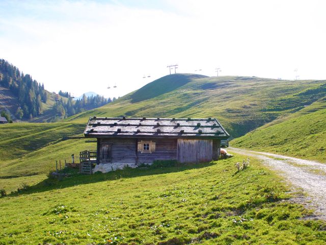 Almhütte in Lofer im Saalachtal NAP-SBG